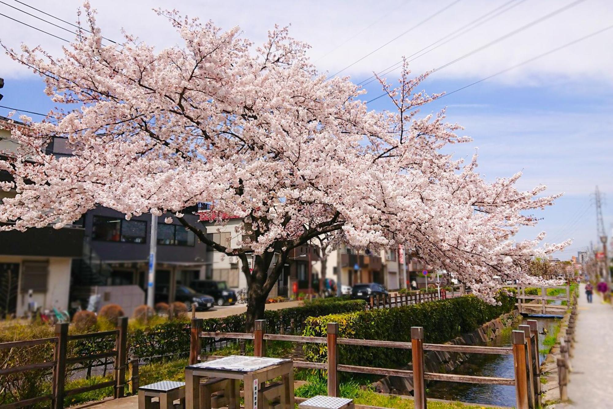Apartmán Sc Heights 106 Prefektura Tokio Exteriér fotografie